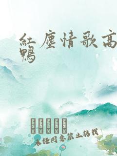 红尘情歌高安黑鸭