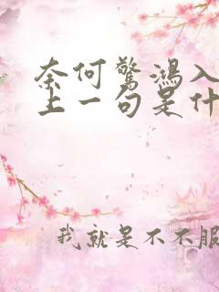 奈何惊鸿入我心上一句是什么