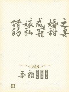 错嫁成婚之总裁的私宠甜妻 小说