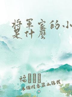 将军家的小娘子是什么