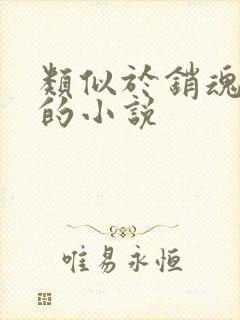 类似于销魂艳婢的小说