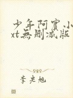 少年阿宾小说txt无删减版