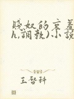 贱奴的哀羞(高h,调教)小说