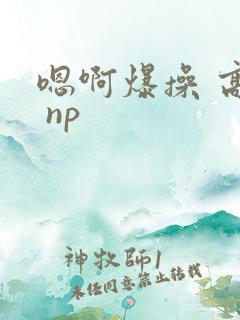 嗯啊爆操 高h np