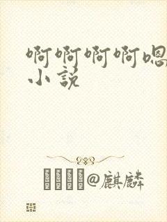 啊啊啊啊嗯嗯嗯小说