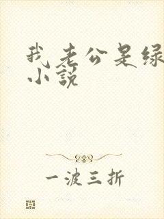 我老公是绿帽奴小说