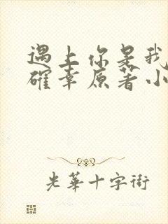 遇上你是我的小确幸原著小说