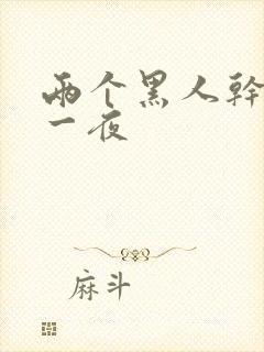 两个黑人干了我一夜