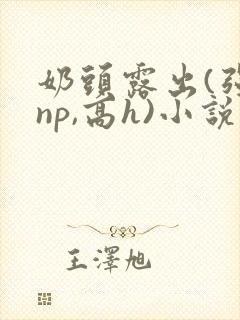 奶头露出(强jnp,高h)小说