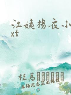 江姨杨夜小说txt