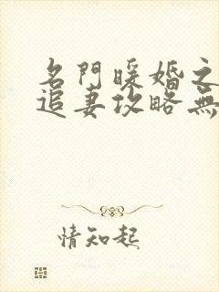 名门暖婚之权爷追妻攻略无删减