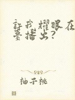 许我耀眼在哪个台播出?