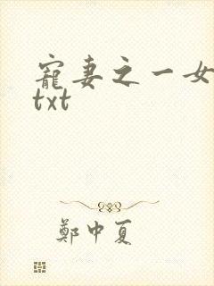 宠妻之一女二夫txt