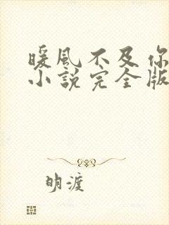 暖风不及你情深小说完全版