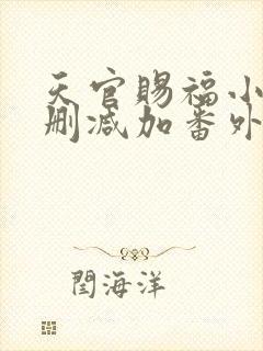 天官赐福小说无删减加番外txt