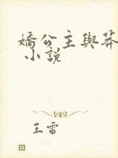 娇公主与莽驸马 小说