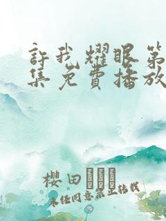 许我耀眼第24集免费播放在线观看