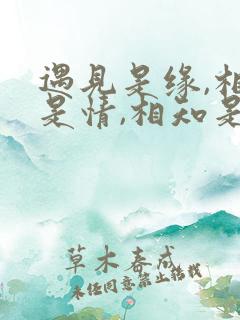 遇见是缘,相识是情,相知是