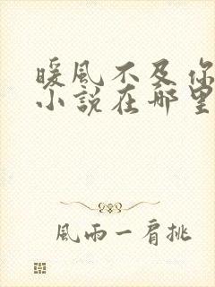 暖风不及你情深小说在哪里看