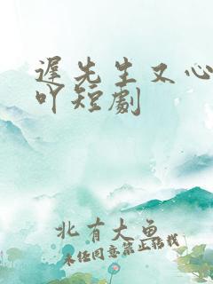 迟先生又心动了吖短剧