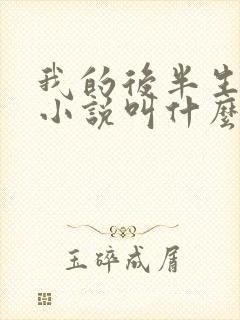 我的后半生原著小说叫什么