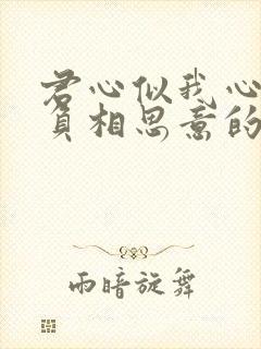 君心似我心定不负相思意的意思