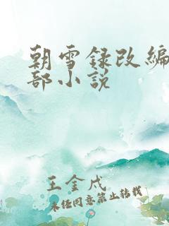 朝雪录改编自哪部小说