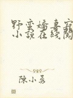 野蛮娇妻宠不得小说在线阅读