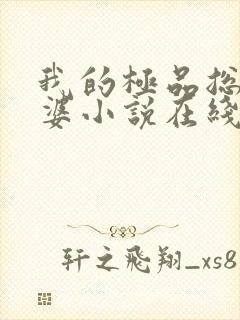 我的极品总裁老婆小说在线阅读