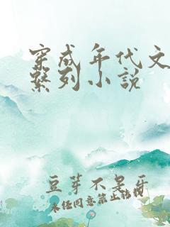 穿成年代文婆婆系列小说