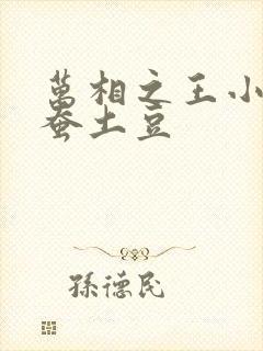 万相之王小说天蚕土豆