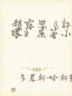 赵露思《许我耀眼》原著小说