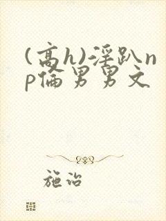 (高h)淫趴np伦男男文