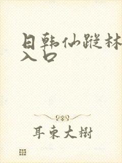 日韩仙踪林视频入口