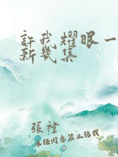 许我耀眼一天更新几集