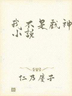 我不是戏神顶点小说