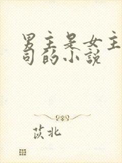 男主是女主的上司的小说