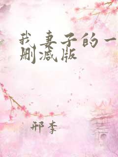 我妻子的一切未删减版