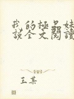 我的极品妹妹小说全文阅读免费