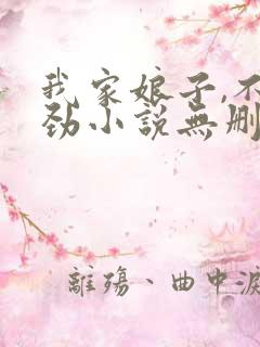 我家娘子,不对劲小说无删减版