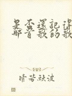 是否还记得我是哪首歌的歌词