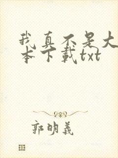 我真不是大佬全本下载txt