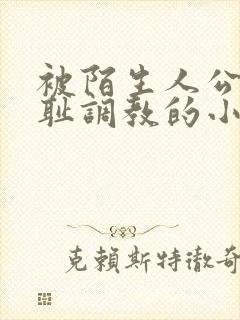 被陌生人公开羞耻调教的小说