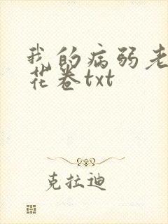 我的病弱老婆 花卷txt