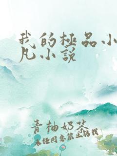 我的极品小姨叶凡小说