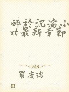 醉于沉沦小说txt最新章节