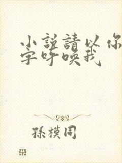 小说请以你的名字呼唤我