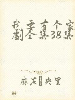 我要有个家电视剧全集38集免费观看