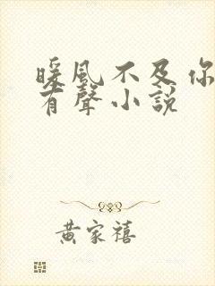 暖风不及你情深有声小说