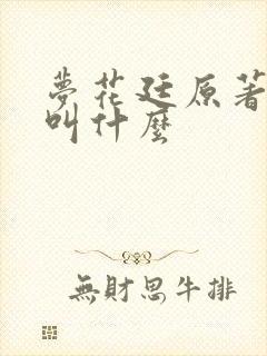 梦花廷原著小说叫什么